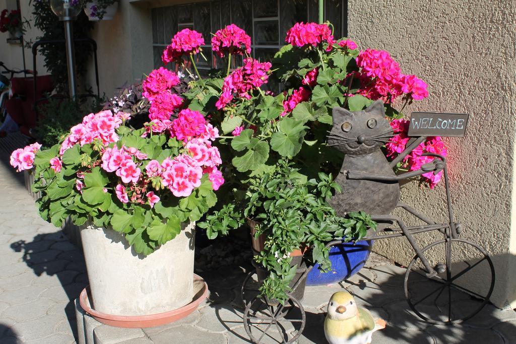 Appartement - Ferienwohnungen - Gaestehaus Gabriele โดรโบลัค อัม ฟาเคอร์เซ ภายนอก รูปภาพ