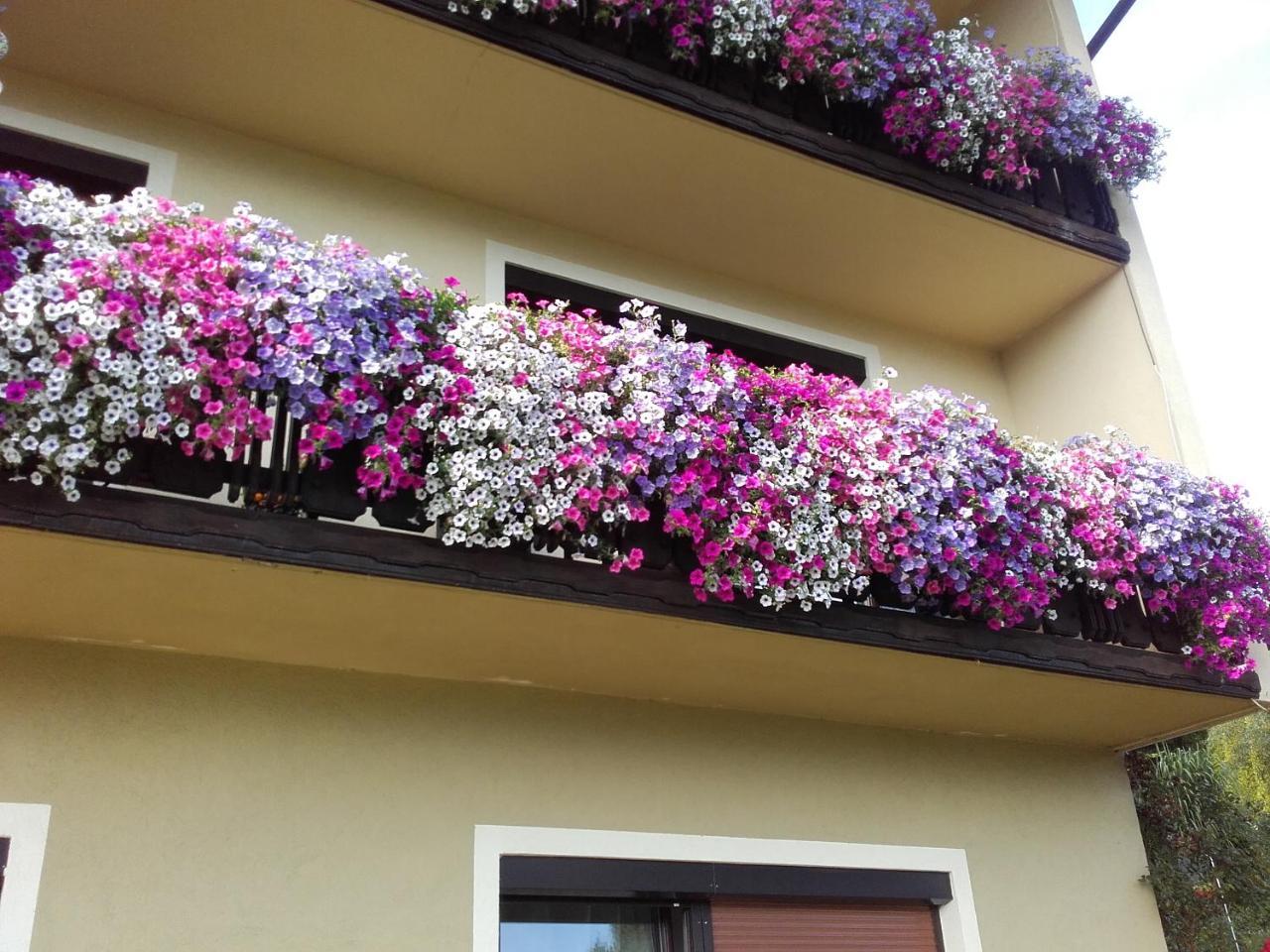 Appartement - Ferienwohnungen - Gaestehaus Gabriele โดรโบลัค อัม ฟาเคอร์เซ ภายนอก รูปภาพ