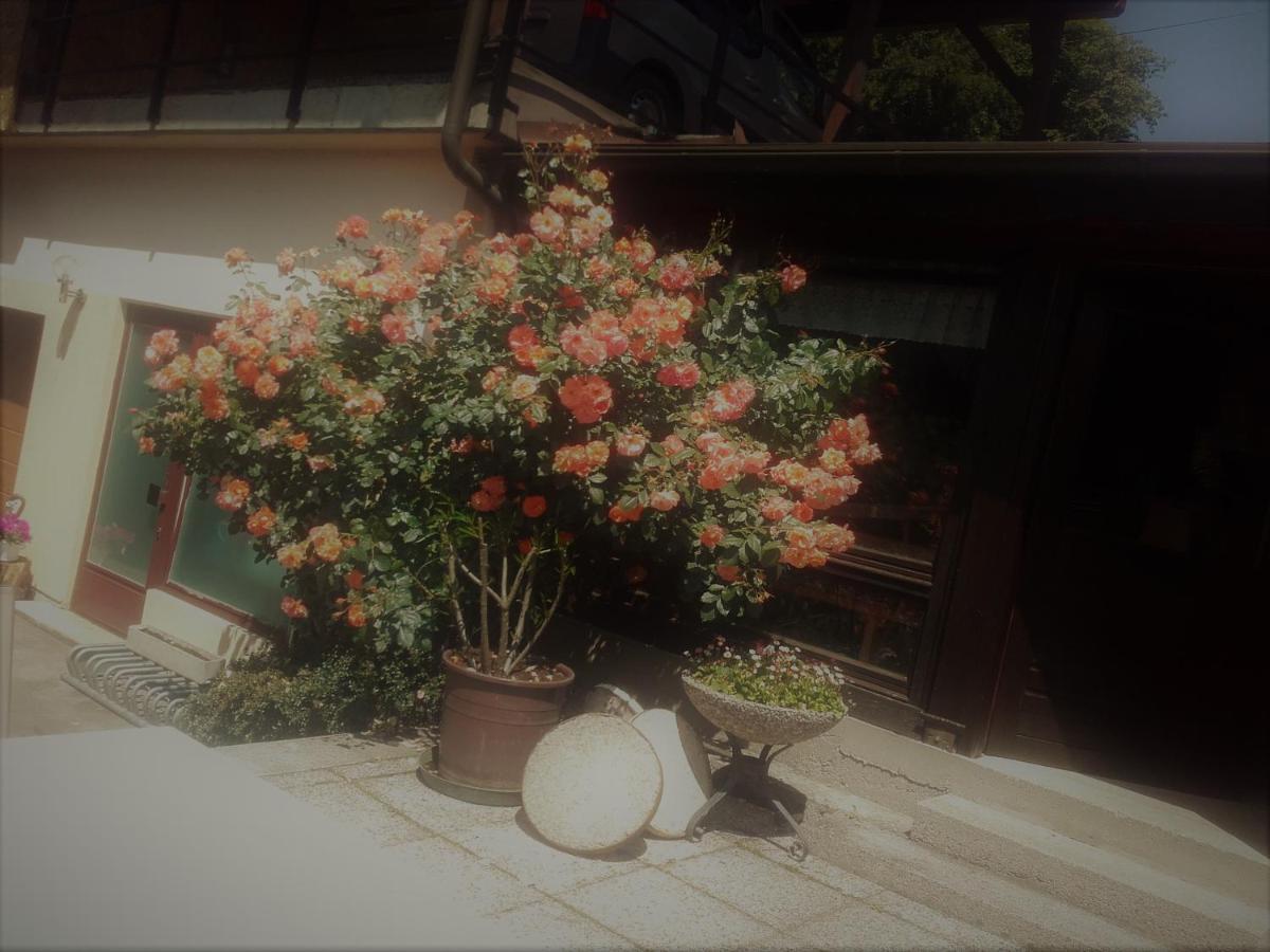 Appartement - Ferienwohnungen - Gaestehaus Gabriele โดรโบลัค อัม ฟาเคอร์เซ ภายนอก รูปภาพ
